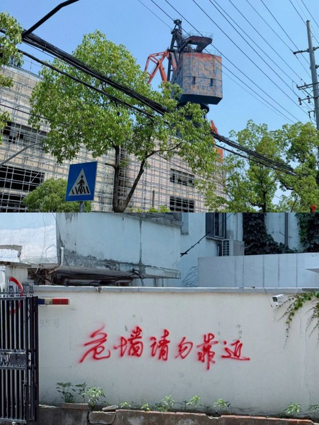 復興島漫遊：江風與櫻花共舞