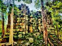 Roots of the Khmer Empire: Exploring Sambor Prei Kuk