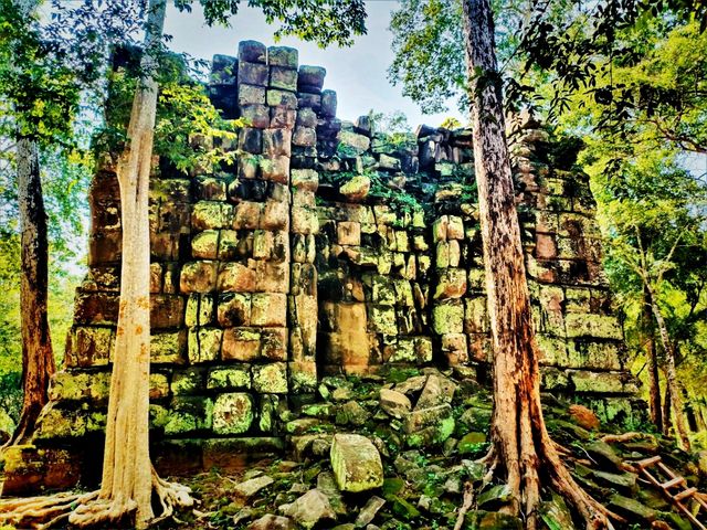 Roots of the Khmer Empire: Exploring Sambor Prei Kuk
