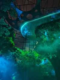 勇闖上海溫室花園夜遊，像阿凡達一樣在雨林探險