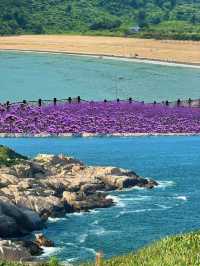 浙江隱藏版「新西蘭」海島！即將翻紅