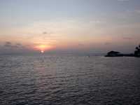 Returning to Paradise: A Love Letter to the Island