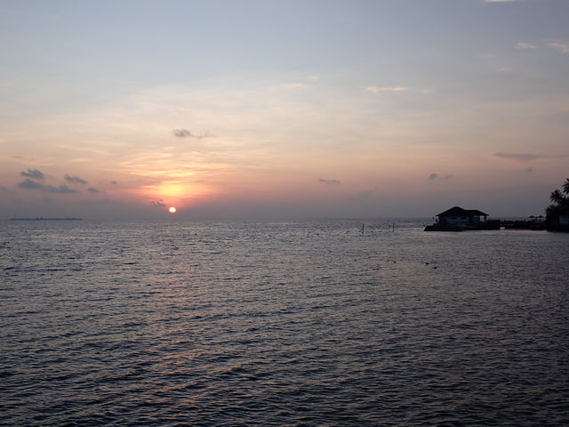 Returning to Paradise: A Love Letter to the Island
