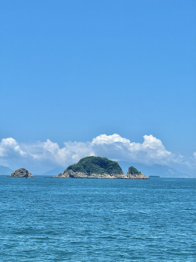 港島最美海岸線行山1.5小時新手友善路線！衝呀！