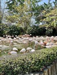 野性的詩篇——頑皮世界野生動物園