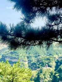 峽谷低語，武安市七步溝的蒼翠心境