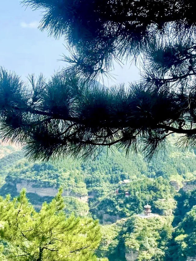 峽谷低語，武安市七步溝的蒼翠心境