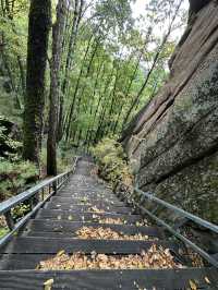 長白山紅石峯生態風景區紅楓染紅了峯頂
