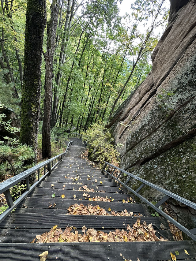 長白山紅石峯生態風景區紅楓染紅了峯頂