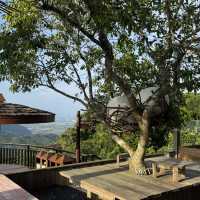 Sanya 19 Days Itinerary