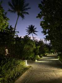 Unforgettable Honeymoon Stay in the Maldives
