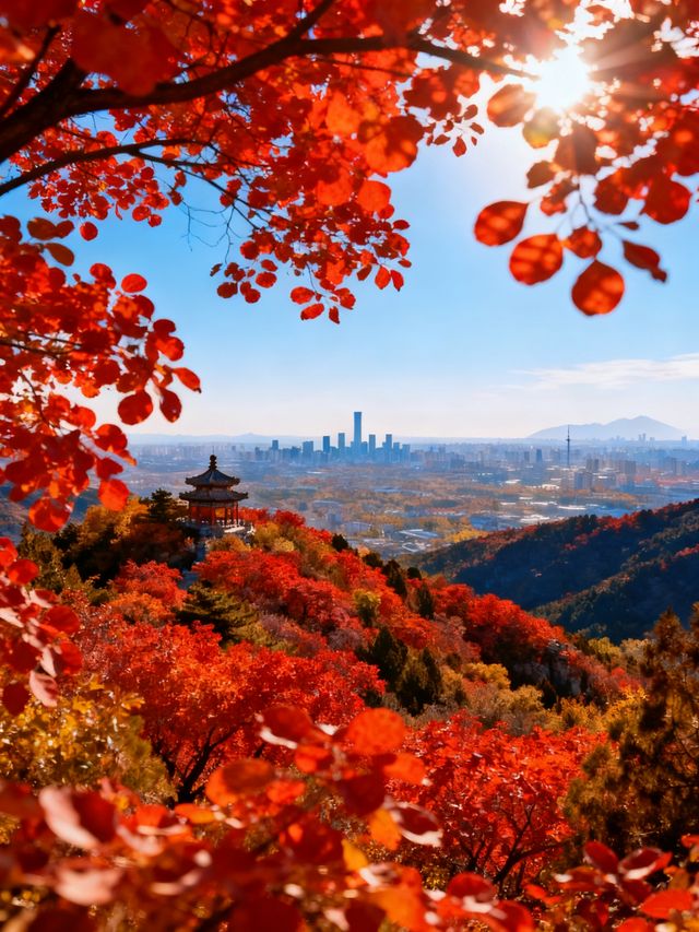 秋日追秋全攻略｜解鎖中式美學巔峰