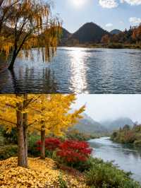 #曲靖金秋山水文化遊 如果你正在計劃一場旅行，那一定要來曲靖體驗一下金秋山水文化遊呀！ 曲靖的