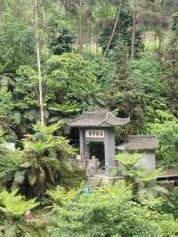 秘境探幽桫欏峽谷