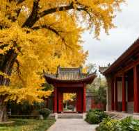 【長安第一絕美古剎！1400年銀杏樹下，邂逅盛唐的秋】