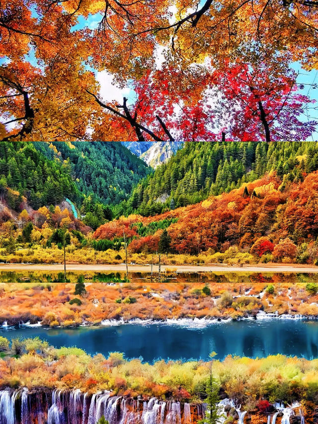 秋天的九寨溝不愧是5A景區的天花板！