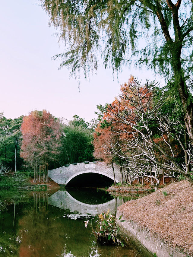 ⛺️ 蓮花山X 筆架山公園｜城市裡也能露營的綠色天堂