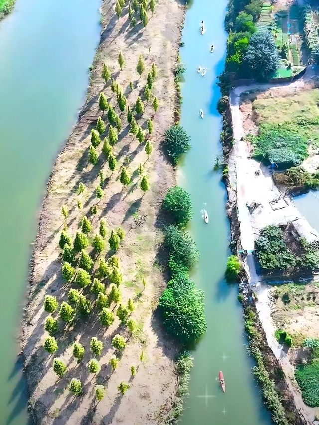守著身邊景，便是好時光！