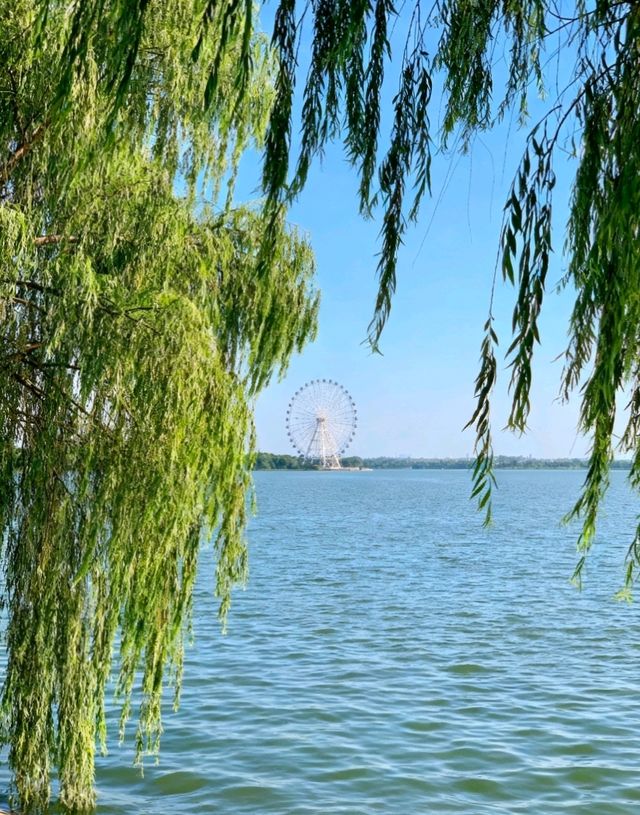 常德保姆級攻略帶你遊玩絕美景點 常德保姆級攻略帶你遊玩絕美景點
