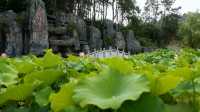 襄陽,一座讓人想「躺平」又忍不住「仗劍走天涯」的城