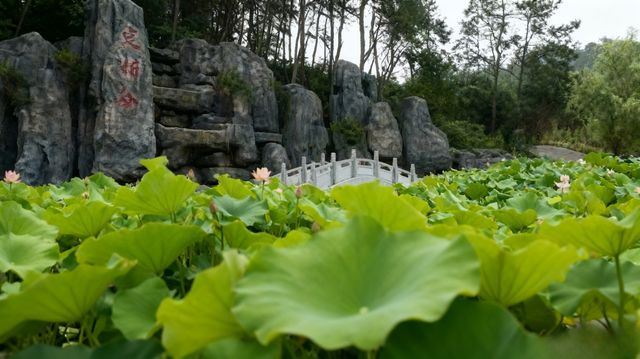 襄陽,一座讓人想「躺平」又忍不住「仗劍走天涯」的城 襄陽,一座讓人想「躺平」又忍不住「仗劍走天涯」的城