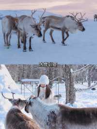 一生坐一次雪國列車越過大興安嶺到漠河
