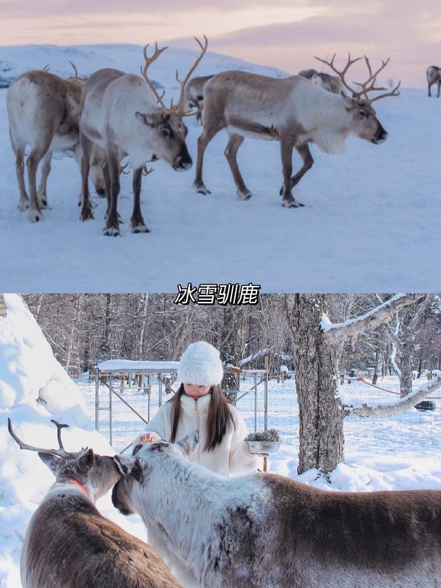 一生坐一次雪國列車越過大興安嶺到漠河