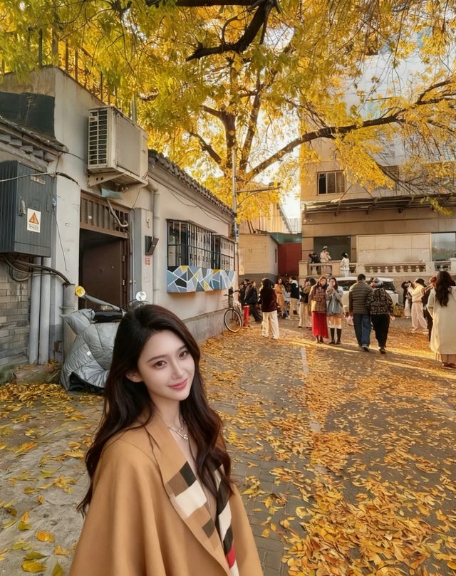 北京深秋打卡指南｜胡同裡的金色童話世界