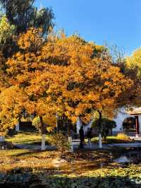 北京園博園嶺南園以精緻的嶺南園林風格 在北京的秋韻裡獨領風騷