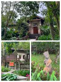 探秘五指山亞泰雨林酒店：住進熱帶雨林的夢幻之境