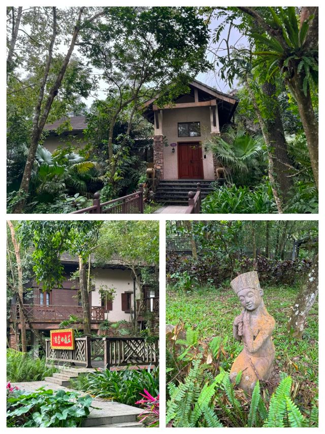探秘五指山亞泰雨林酒店：住進熱帶雨林的夢幻之境