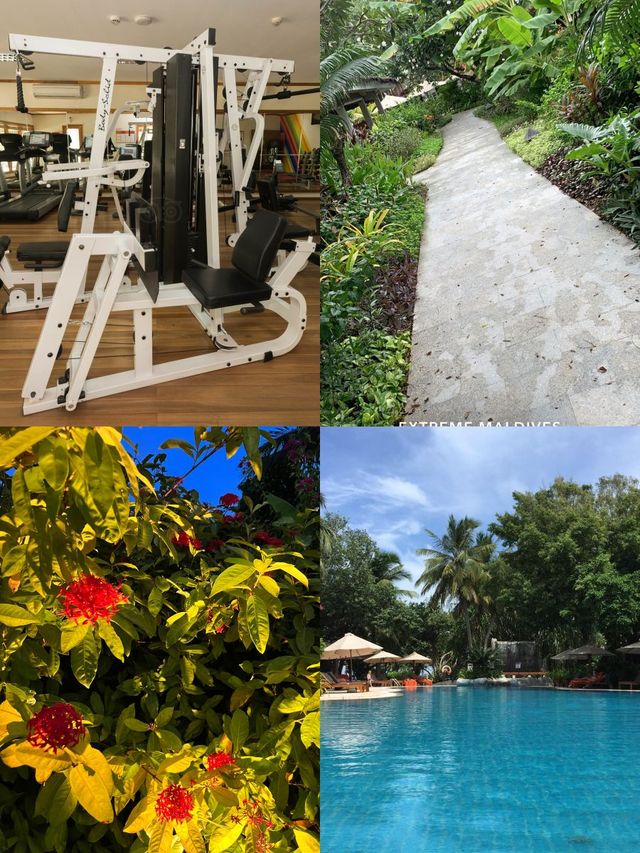 在滿月島喜來登體驗神仙假期 在滿月島喜來登體驗神仙假期