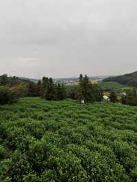 黃家山景，幽靜之中的自然詩篇。