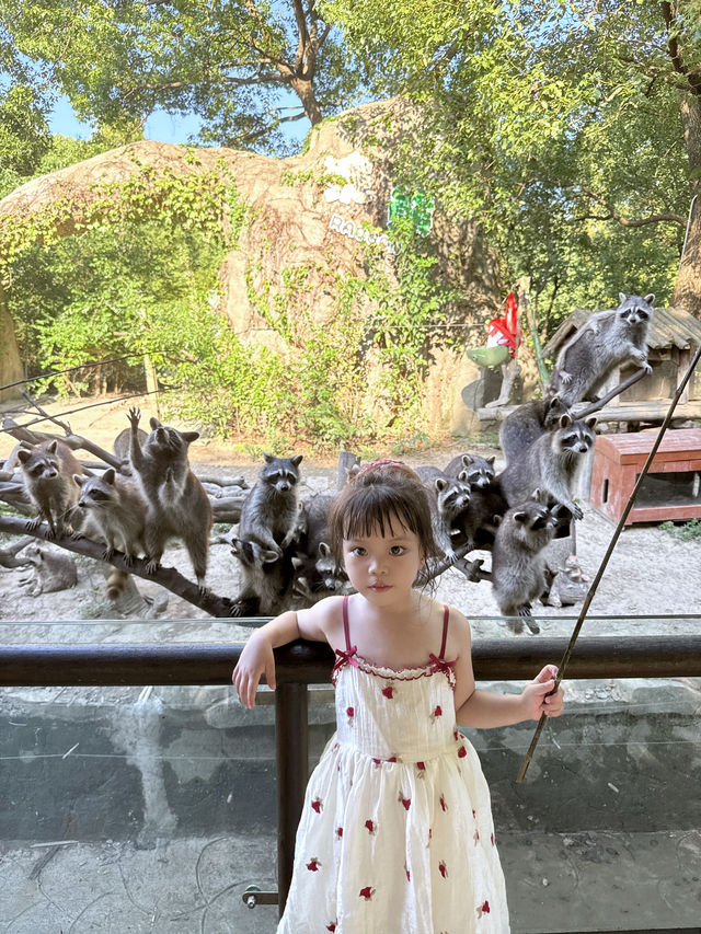 寧波一日遊!寧波野生動物園遛娃全職業攻略! 寧波一日遊!寧波野生動物園遛娃全職業攻略!