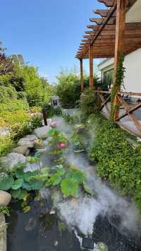 ​崂山隱居日記