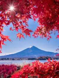 東京周邊8個絕美賞楓之地~