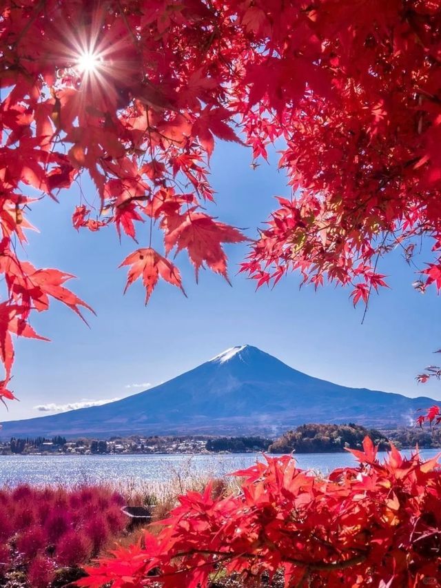 東京周邊8個絕美賞楓之地~