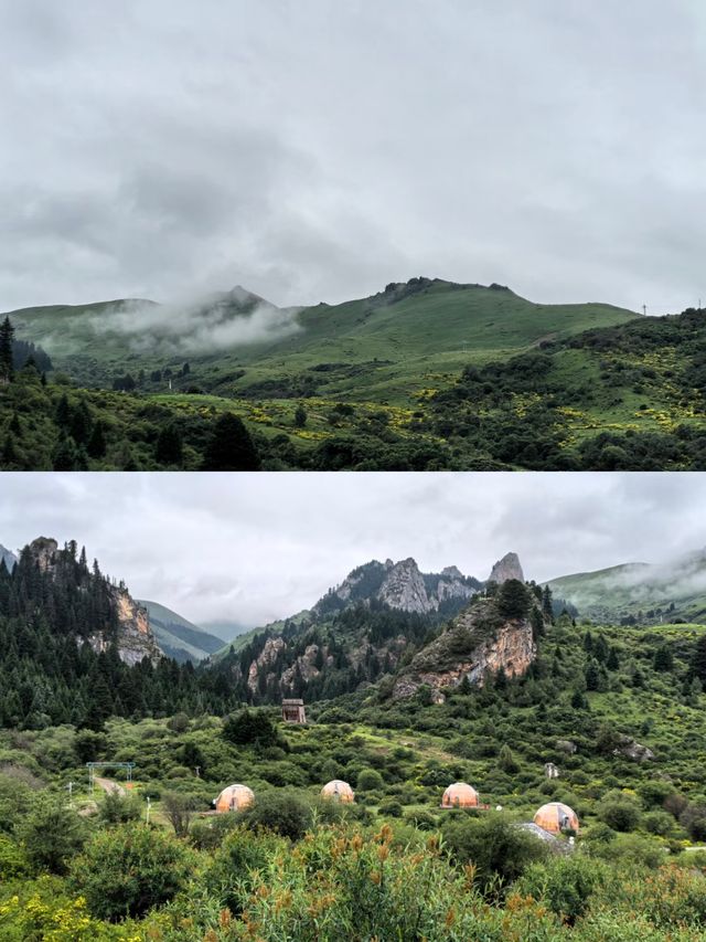 則岔石林,甘南的一顆璀璨明珠,等你來發現 則岔石林,甘南的一顆璀璨明珠,等你來發現