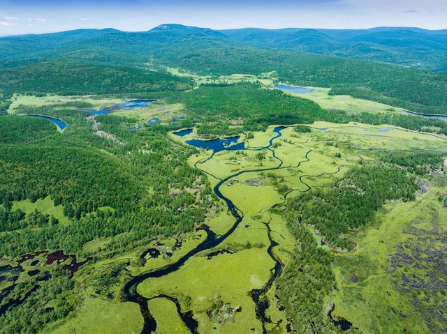 秋冬阿爾山國家森林公園攻略