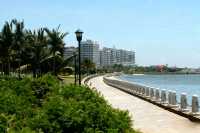 湛江,藏著一片會發光的海!這份保姆級攻略請收好!