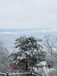 這哪裡是老君山，這怕不是天宮吧！