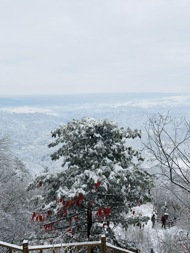 這哪裡是老君山，這怕不是天宮吧！