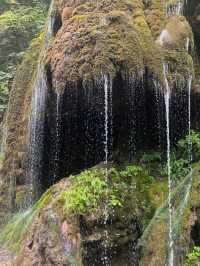 住進童話森林小屋重渡溝神仙民宿治癒系滿分