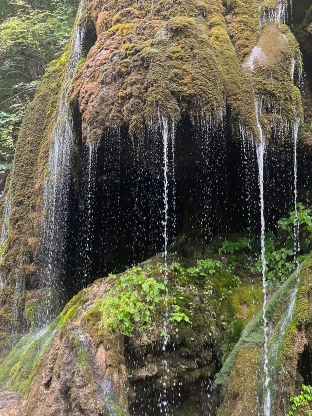 住進童話森林小屋重渡溝神仙民宿治癒系滿分