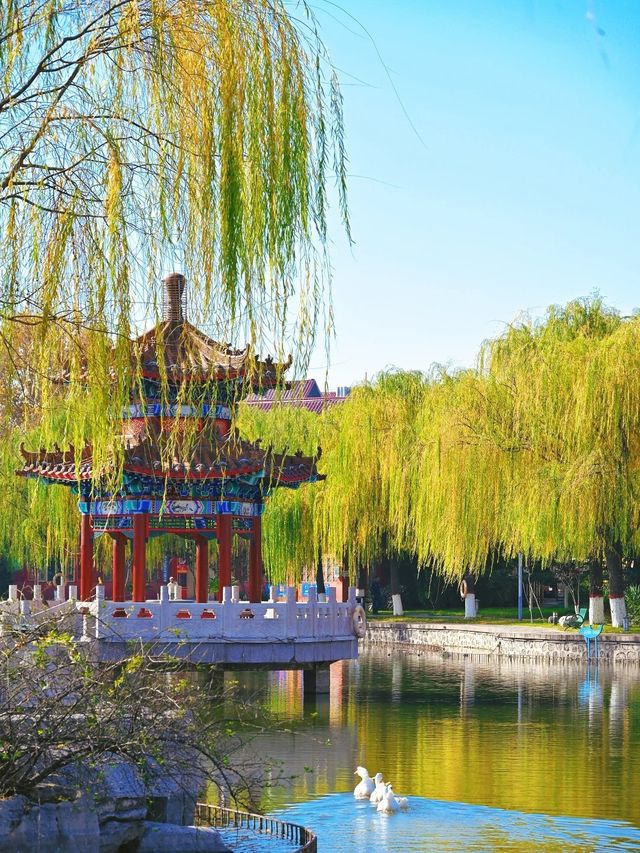 帶娃出遊必收藏！