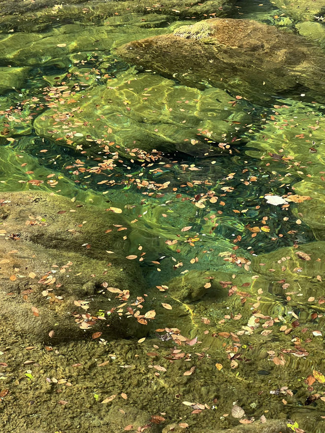 闖入億萬年前形成的峽谷