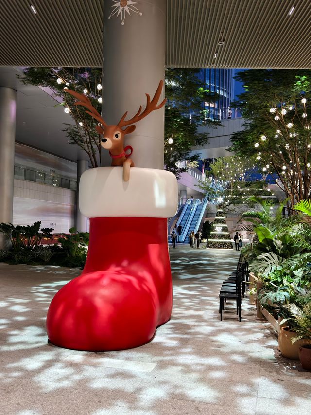 深圳這裡聖誕節氛圍已經開始濃了 深圳這裡聖誕節氛圍已經開始濃了