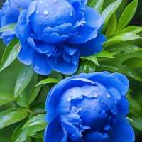 山東荷澤歡迎您