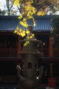 南京靈谷寺賞秋秘境