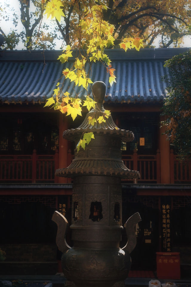 南京靈谷寺賞秋秘境